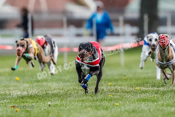 WRA, Prg 1, Race 5, Henry Eddie Deal Moki Feather Hit-8321
