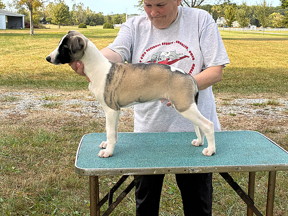 IMG_0305