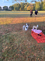 IMG_0215