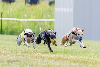 Prg 1, Race 3, Marty Sid Raz Ringo Chuck-1642-2