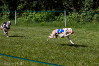 IMG_4798
