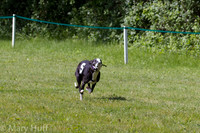 IMG_4809