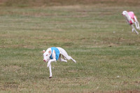 1 Prelims Fch 1 Penny Jadis Willow-5774