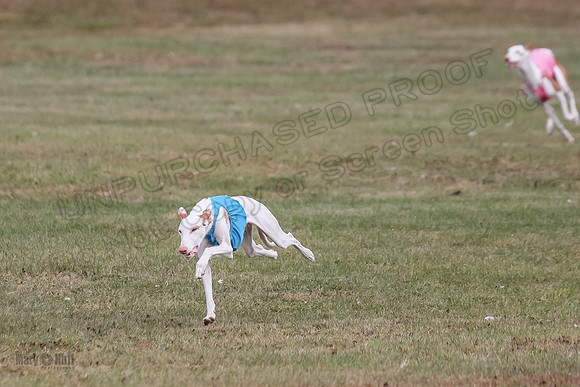 1 Prelims Fch 1 Penny Jadis Willow-5774