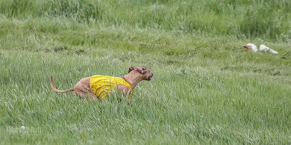 1 Prelims Fch Islay Eve Opal-8335