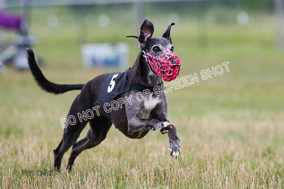 Prg 3, Race 2, Chuck-Tusi-Smokey-Raz-Angel-Nathalia-1065