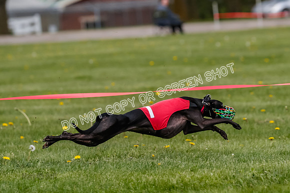 NOTRA Program 3, Race 6, Nami Jamie Sandy Elia-2-15