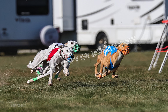 Prg 4, Race 13, oats Bookie Reas Rizzo-2756