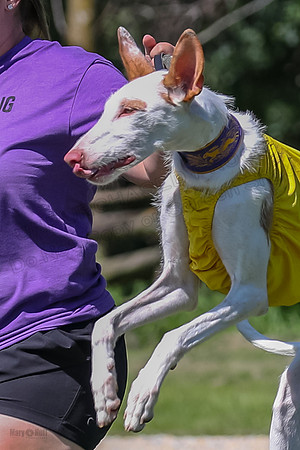 Finals Fch 1 Willow Penny Madyson-8229