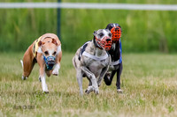 Prg 2, Race 4, Marty, Bogie, Denim, Meatloaf, Blaze, Raz-3-5