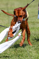 Ridgeback