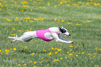 1Prelims Specials B6 Mantle PeteySue Echo-1586