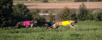 1 Prelim Open Minnie Luco Bunny-8808