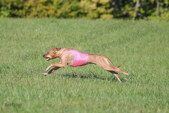1 Prelims Open 1 Kinky Ash Zanna-4468