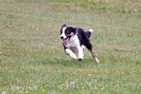 IMG_0598