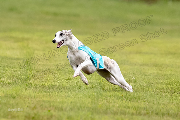 Prelims Misty-0635