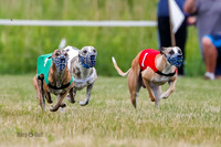 Prg 2, Race 4, Marty, Bogie, Denim, Meatloaf, Blaze, Raz-3-2