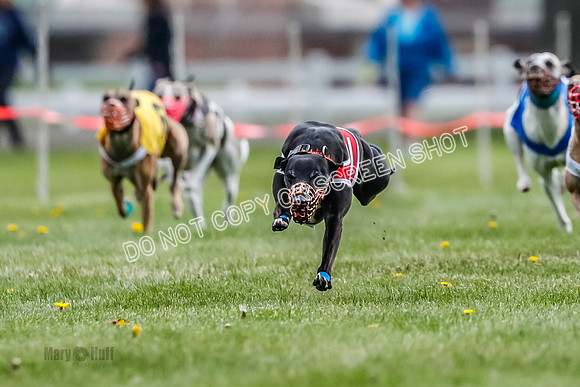 WRA, Prg 1, Race 5, Henry Eddie Deal Moki Feather Hit-8322