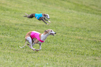 Prelim Specials A1, Booster Leo KinkyBoots-9607