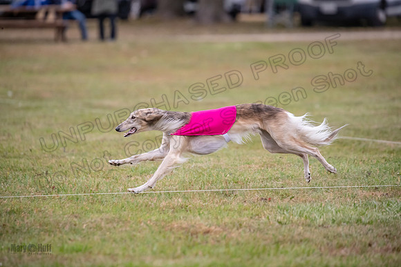 Finals Open Ripley Spiff-2683