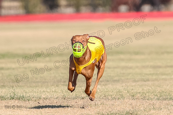 1Prelims Open 1 Des-0713