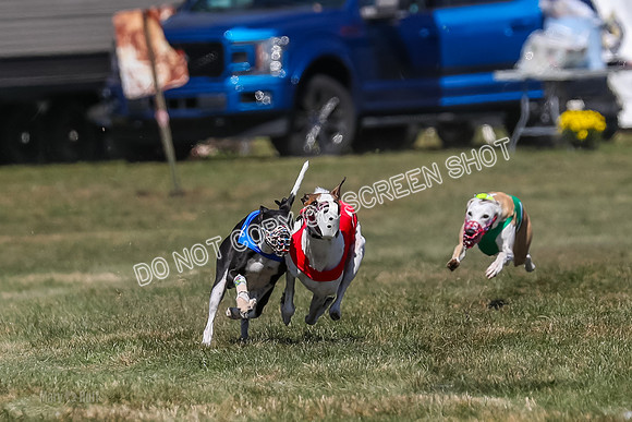 Prg 3, Race 9, Bibi Maybe Nami Rosie-2152