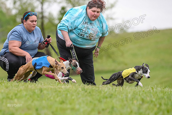 Prelim Open E3, Panda Kracken Indy-4936