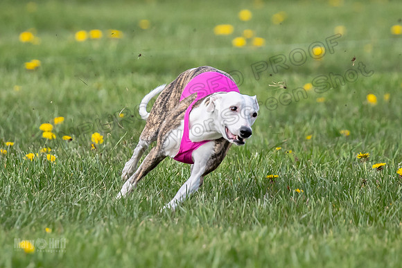 1 Prelim FCh B2 Echo Lzzy Indy-6753