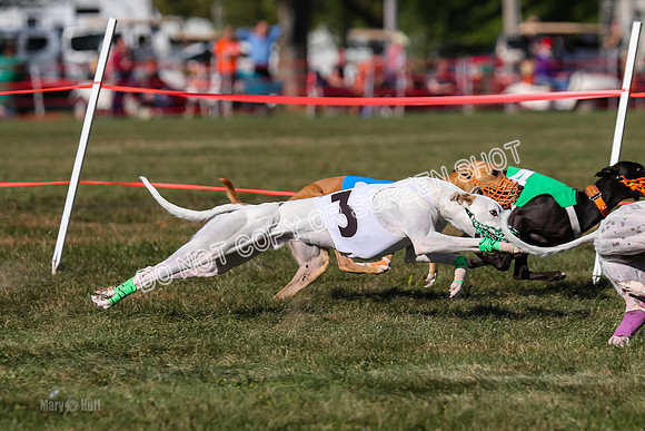 Prg 4, Race 13, oats Bookie Reas Rizzo-2774