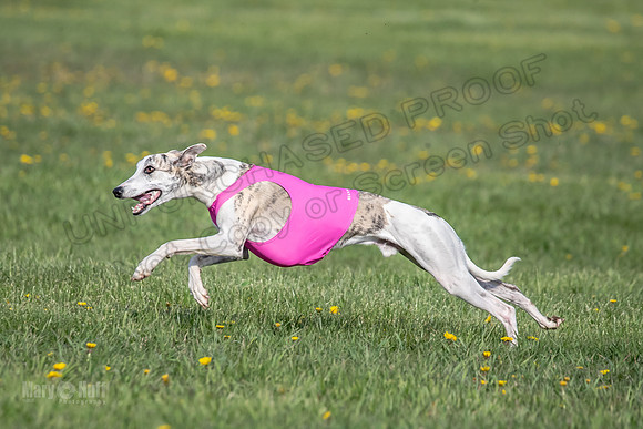 1Prelims Open E1 Boujee Riptide Zaza-0717