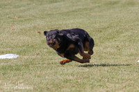 IMG_1678