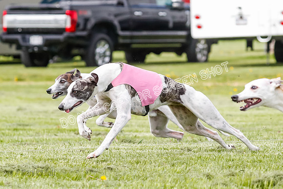 Finals, Open, Raya Valleri Riley-8714