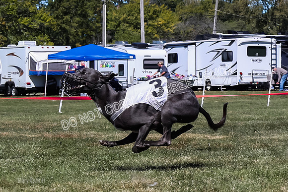 Prg 3, Race 2, Reas Cobalt Mika Blitz-9588