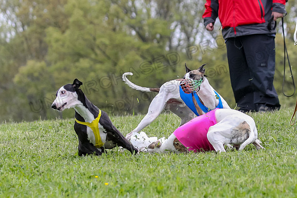 Finals Open D1, Bear Zip-It Kraken -0848