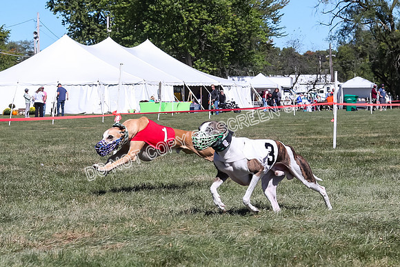 Prg 3, Race 3, Flynn Warrior Clyps Rigby Echo Arrow-9607
