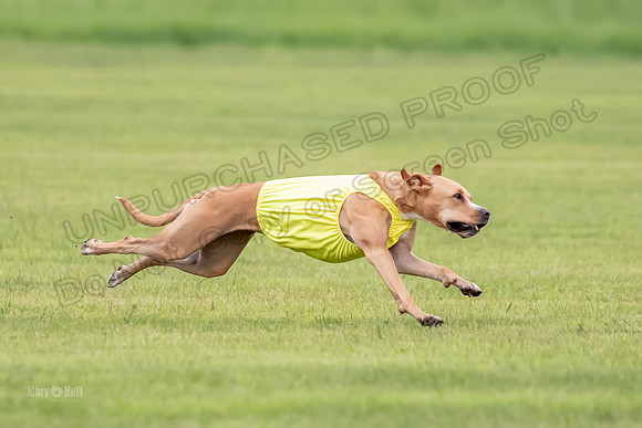 Prelims Zara-0795