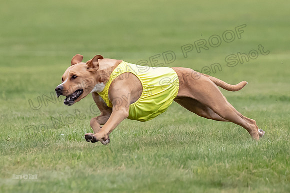 Prelims Zara-0809