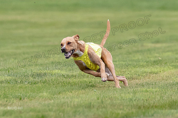 Prelims Zara-0807