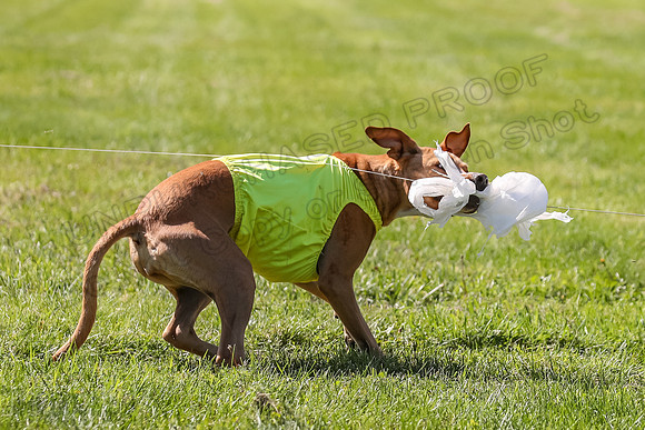 AE4I9403