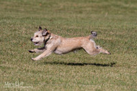 IMG_1564