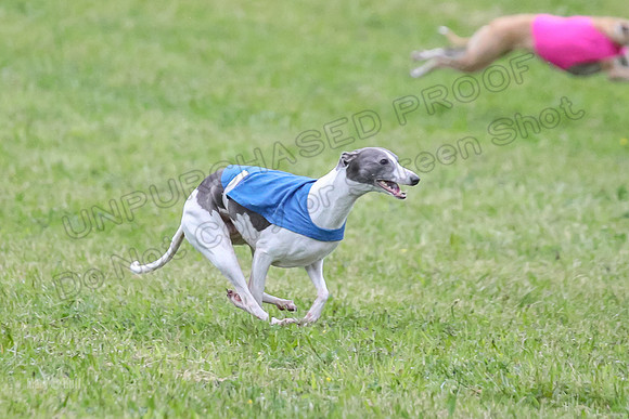 Prelim Open B1, Prudence Rosa Zelda-8382