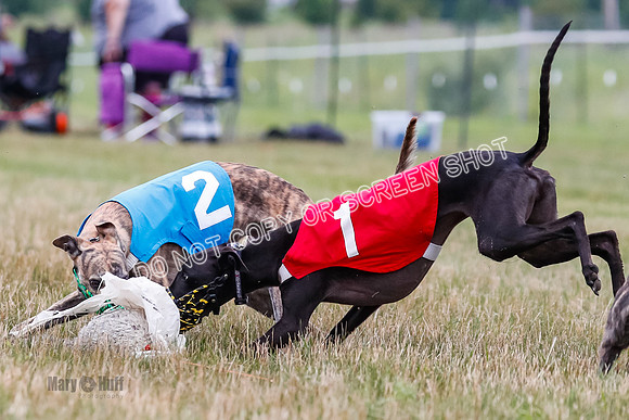 Prg 3, Race 5, Sid-Alex-Zed-Fama-Talim-1202
