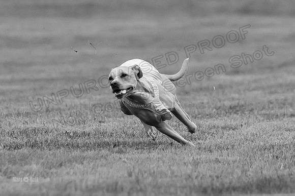 Prelims Zara-0805-2