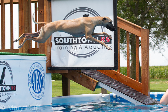 IMG_7518