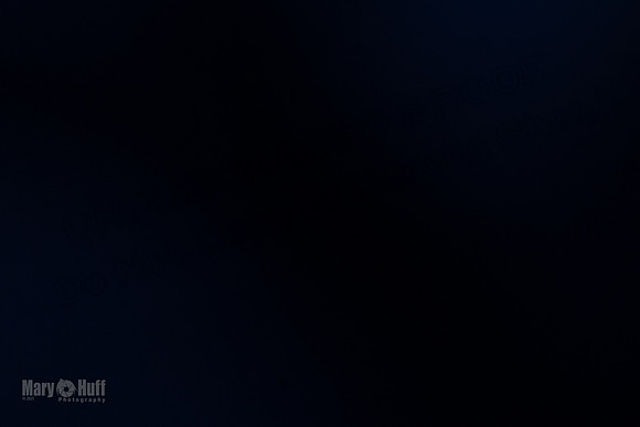 AE4I6248
