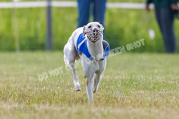 Prg 1, Race 2, Ready Serena-1617