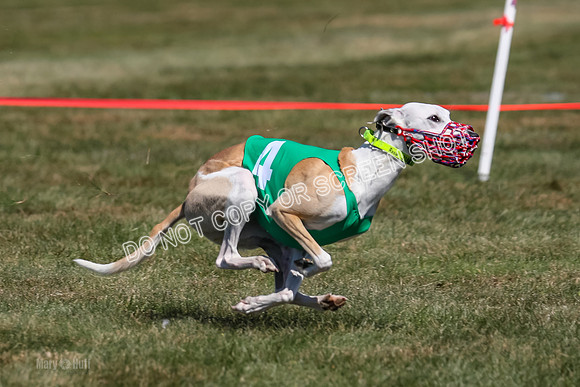 Prg 3, Race 9, Bibi Maybe Nami Rosie-2172