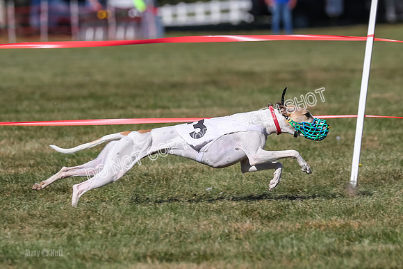 Prg 4, Race 12, Snacks Coty Ryka Stone-2748