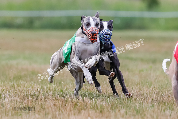 Prg 3, Race 4, Rowan-Jett-Blaze-Shimmy-Bogie-1138
