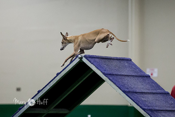 HO4A7556